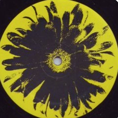 angels cover- Zee Roots