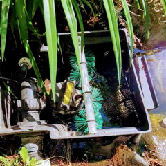Ep. 8: Are Pond Skimmers Worth It? The Key to Stress-Free Water Feature Maintenance
