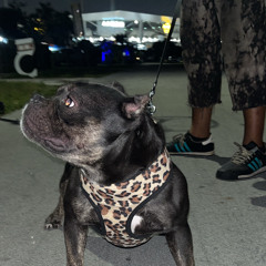 EZE x GRIYA x TOAO - Block Vibez