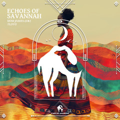 Dom James, Floyo  - Echoes Of Savannah (Extended Mix)