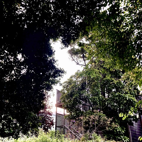 ambient gathering 2025 (hum)