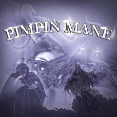 PIMPIN MANE W/ OPERATOR5000