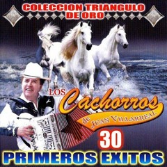 Cenizas Sin Carbon