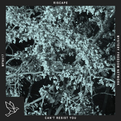 Riscape - Cant Resist You  (Radio Mix)