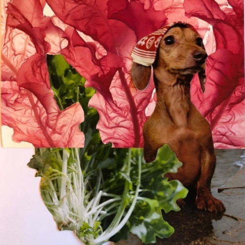 dubsearch numero centocinquantuno by ashwini