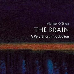 Epub✔ The Brain: A Very Short Introduction