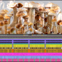 (Ableton-Live: Handmade-Freestyle-Dark-Hitech) Track No: 6856.