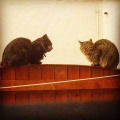 Pray To The Sub - Audible