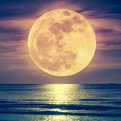 Moonlight - ft. Wlms