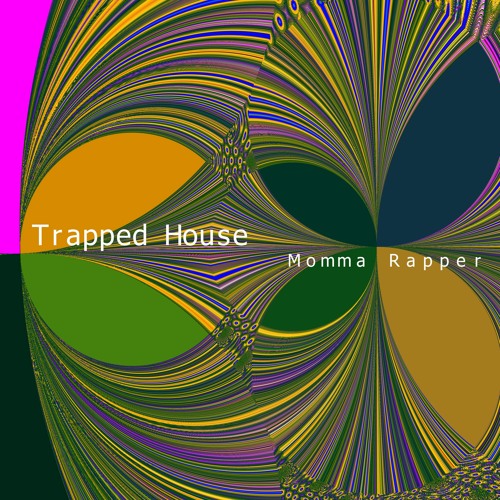 The Trapped House