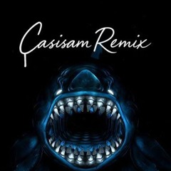 Billie Eilish - ILOMILO (CASISAM Remix) (!!SKIP TO 00:56!!)