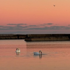 SZA hiiijack - cover