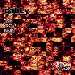 caLLy - Y-Files