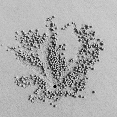 Indie - Dance Battery Days