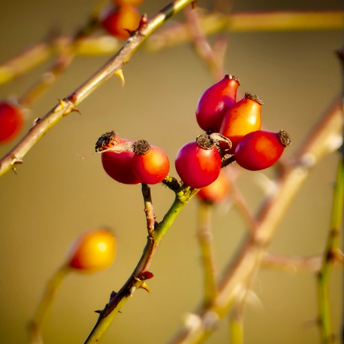 October 2025: Last Time