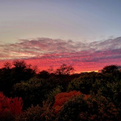 PradaGirl (prod. Shem)