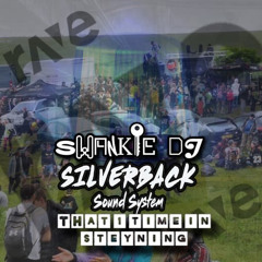 Swankie DJ Meets Silverback Soundsystem - That 1 time in Steyning