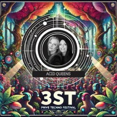 PAST FUTURE ( LIVE at 3ST FESTIVAL )