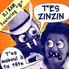 DJ XAM FEAT BORIS - T'ES ZINZIN (TEKA B REMIX)