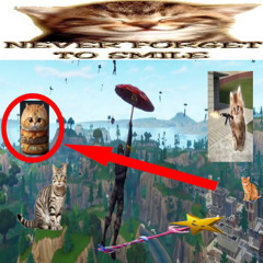 fortnite + lulhaaz, kobarenji (centrlx)