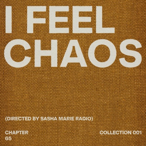 Chapter #65