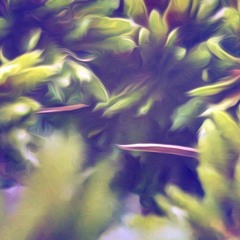 trip mix 005. . . Giorja*