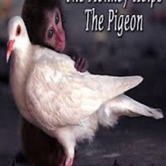 Chicken Nugget by Nick Bean Cover