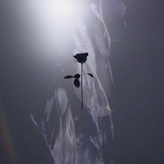 PREMIERE: Malandra Jr. - Flames (Original Mix) [Black Rose]