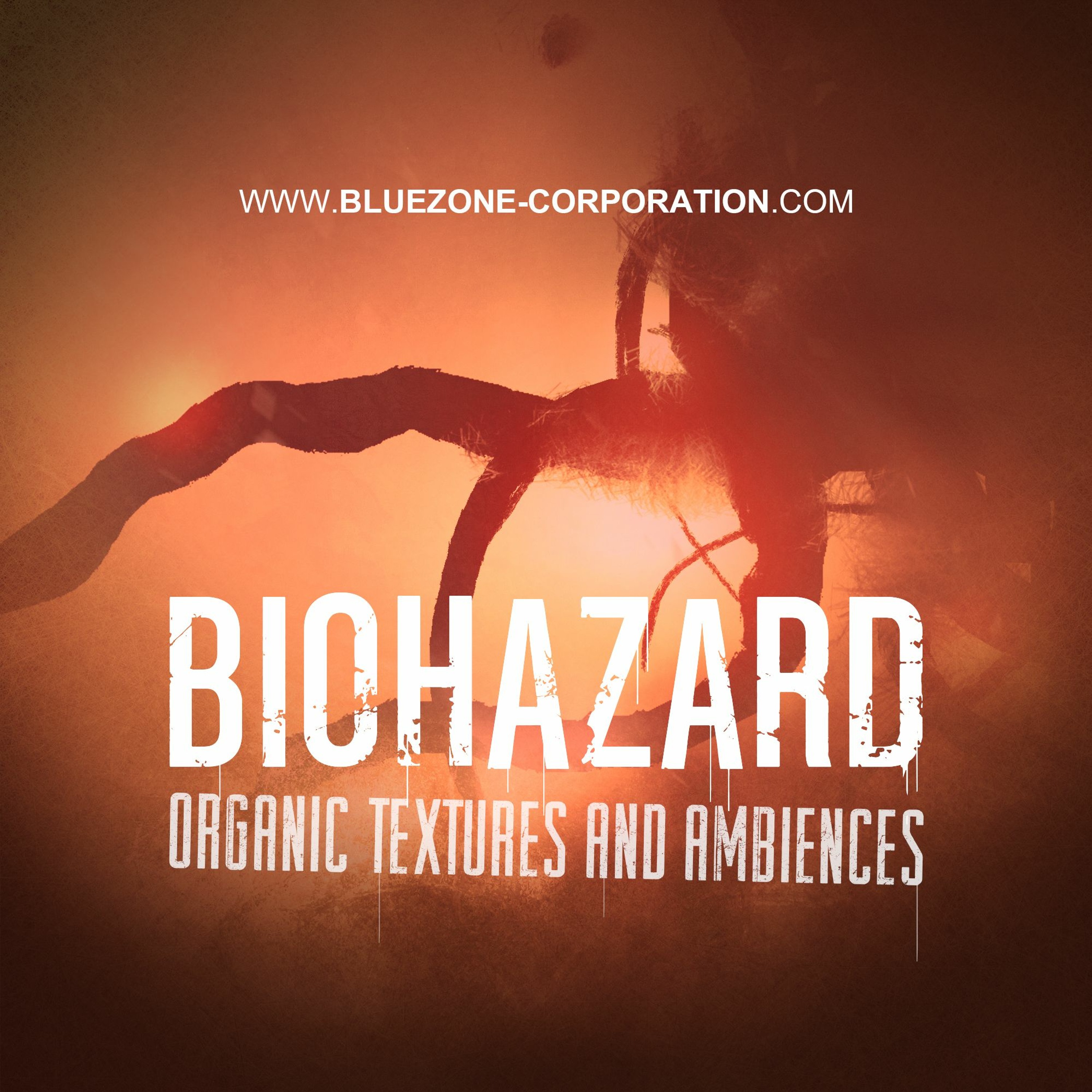 Bluezone Corporation