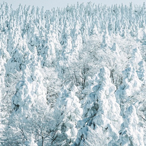 In The Depth Of Winter