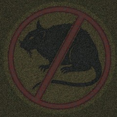 don't be a rat- (prod.CORDA.) ft.HXRARE BO
