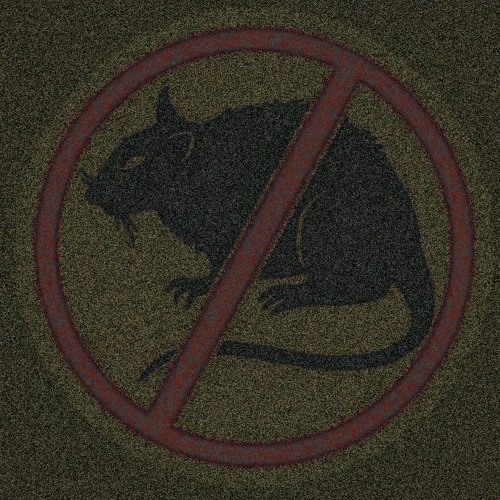 don't be a rat- (prod.CORDA.) ft.HXRARE BO