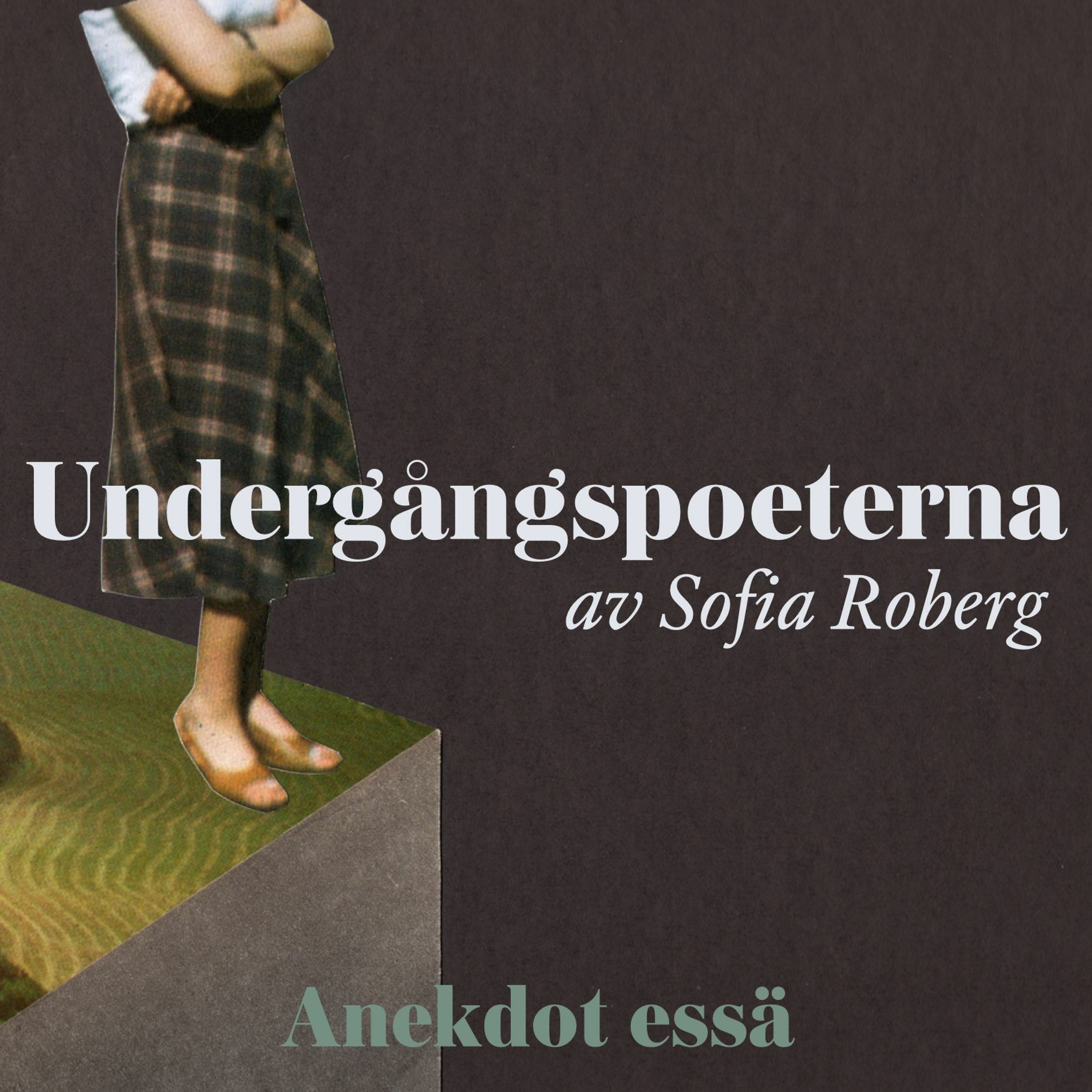 Bildningspodden