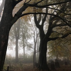 champagne toast studio to stage