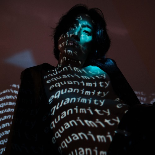 Adrian Roman - Intimate Diary | Equanimity