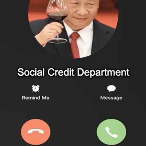 Stream THESE CHINESE TIKTOK SOUND EFFECTS WILL GAIN YOUR SOCIAL CREDIT