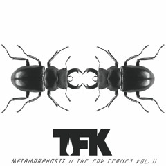 Fly on the Wall (The Robbie Bronnimann Mix) (Remix)
