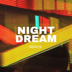 Aquatic - Night Dream (Original Mix).mp3