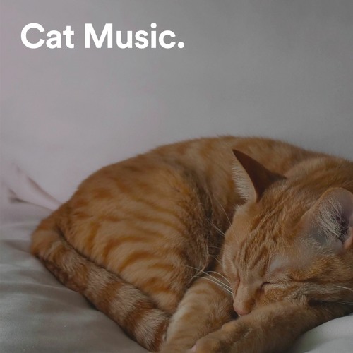 Cat Music š±: Cat Playlist, Sleep Music For Cats, Calming Music For Cats, Relaxing Music For Cats