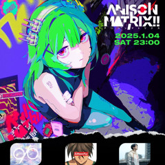 ANISON MATRIX!! 2025 01/04