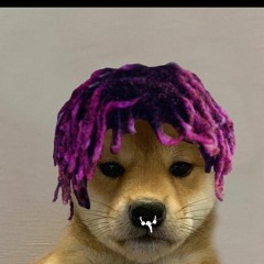 Playboi Carti Skeletons Whole Lotta Red Remix