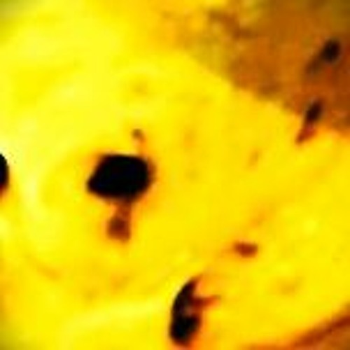 戯れ。
