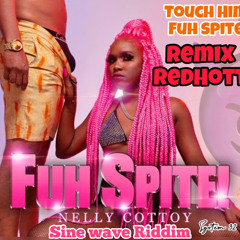 Touch Him Fuh Spite-Nelly Cottoy(Soca Remix).mp3