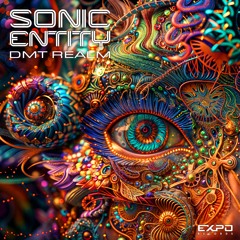 Sonic Entity - DMT Realm (sample)