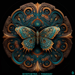 Synthetra - The Place of My Dreams [Journey of the Soul]