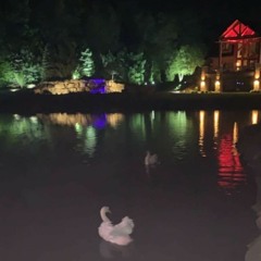 Wayve - EAGER EYE REMIX #jgalidainthebuilding