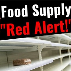 Food Supply Red Alert Issued For Texas After Storm Knocks Out Power To Millions