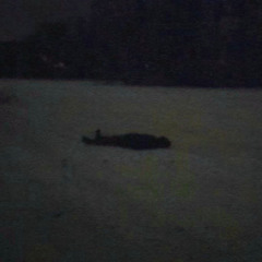 t̷h̷e̷ ̷d̷r̷e̷a̷m̷e̷r̷ ̷f̷a̷d̷e̷s̷ ̷i̷n̷ ̷a̷ ̷v̷o̷i̷d̷ ̷w̷h̷e̷r̷e̷ ̷t̷i̷m̷e̷ ̷c̷o̷l̷l̷a̷p̷s̷e̷d̷ ̷b̷e̷f̷o̷r̷e̷ ̷t̷h̷o̷u̷g̷h̷t̷, ̷w̷h̷e̷r̷e̷ ̷s̷i̷l̷e̷n̷c̷e̷ ̷d̷e̷v̷o̷u̷r̷s̷ ̷m̷e̷m̷o̷r̷y̷ ̷a̷n̷d̷ ̷t̷h̷e̷ ̷u̷n̷i̷v̷e̷r̷s̷e̷ ̷f̷o̷r̷g̷e̷t̷s̷ ̷e̷v̷e̷n̷ ̷t̷h̷e̷ ̷