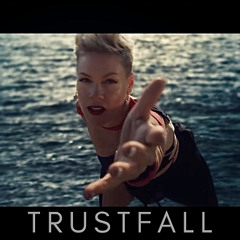 Pink - Trustfall (DS Remix)