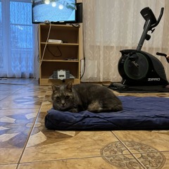 Universal beat relaxation